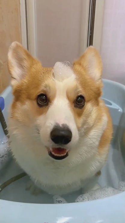 Cepillo de Baño 2 en 1 para Mascotas | Masajea, Limpia y Elimina Pelo